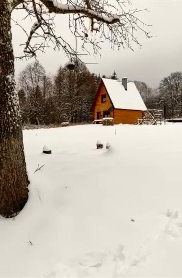 Вілла Dwernik Bukowina Bieszczady Екстер'єр фото